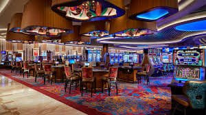 Habaji sports betting details shown beside a privacy reminder for adults