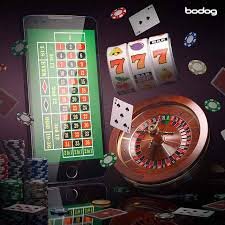 Bangladesh adults only reminder for habaji betting steps and safety